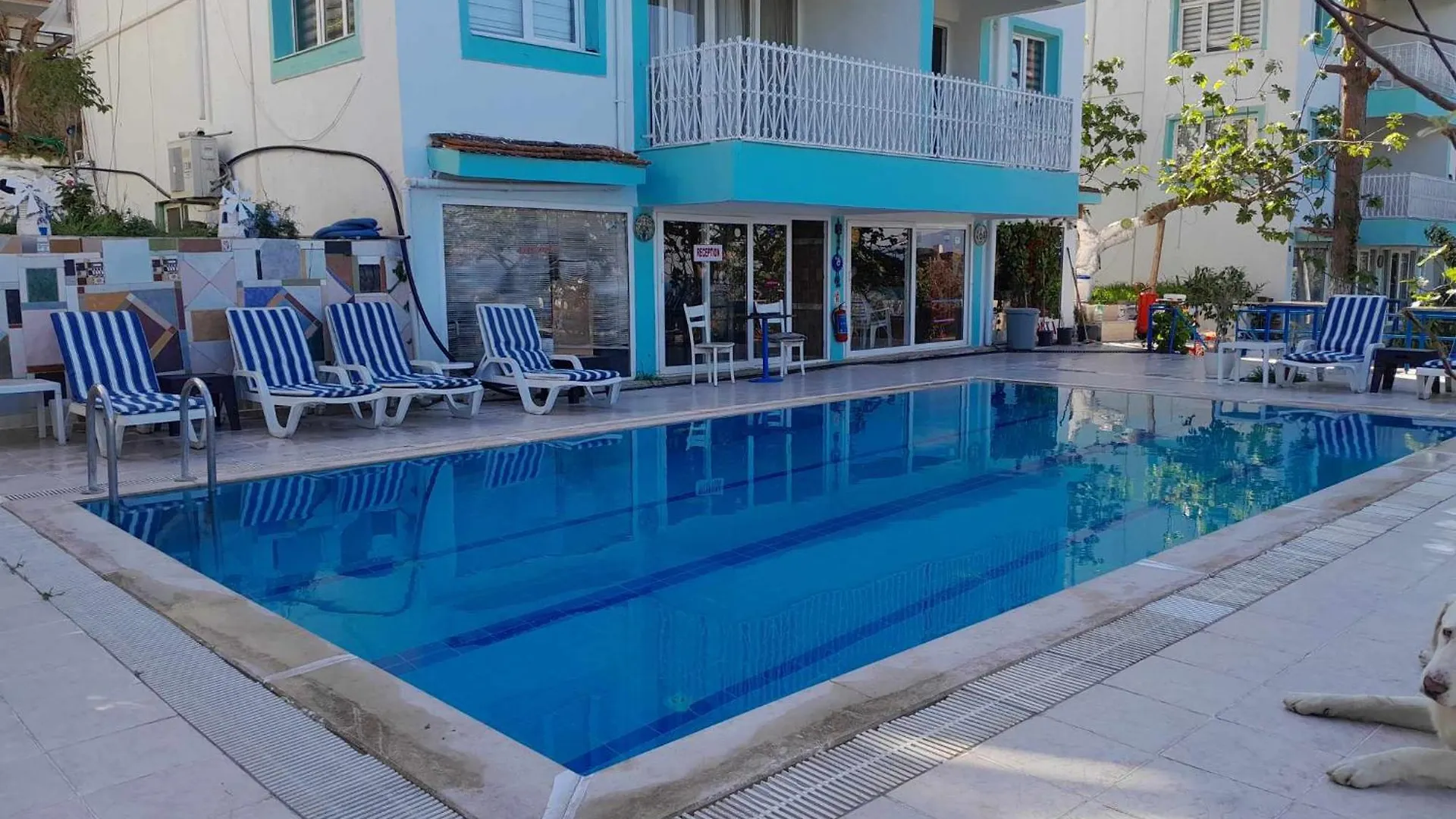 公寓式酒店 Asia Apart Hotel 库萨达斯